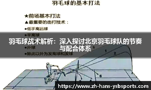 羽毛球战术解析:深入探讨北京羽毛球队的节奏与配合体系